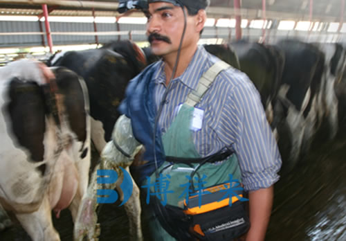 眼肌面积测定仪对牛的育肥管理