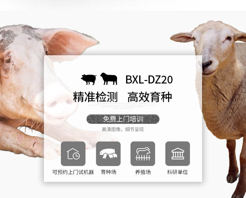BXL-DZ20-猪背膘眼肌_02.jpg