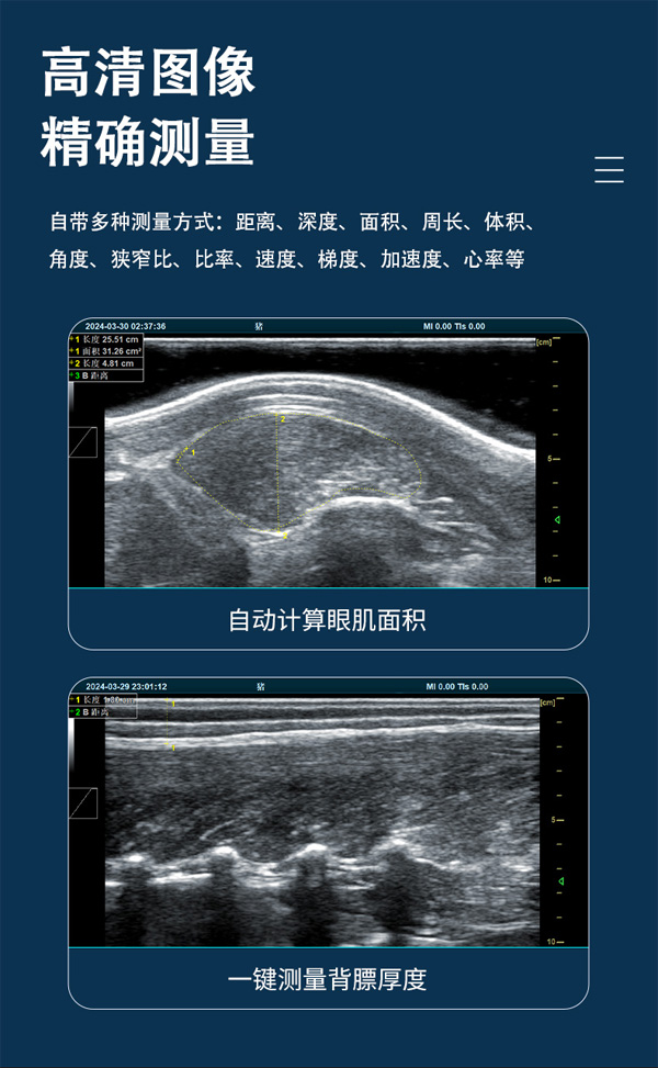 BXL-DB20-背膘眼肌详情页_03.jpg