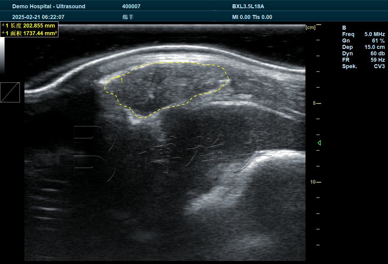 2025.02 赛诺羊场DZ20羊背膘眼肌 (11).png