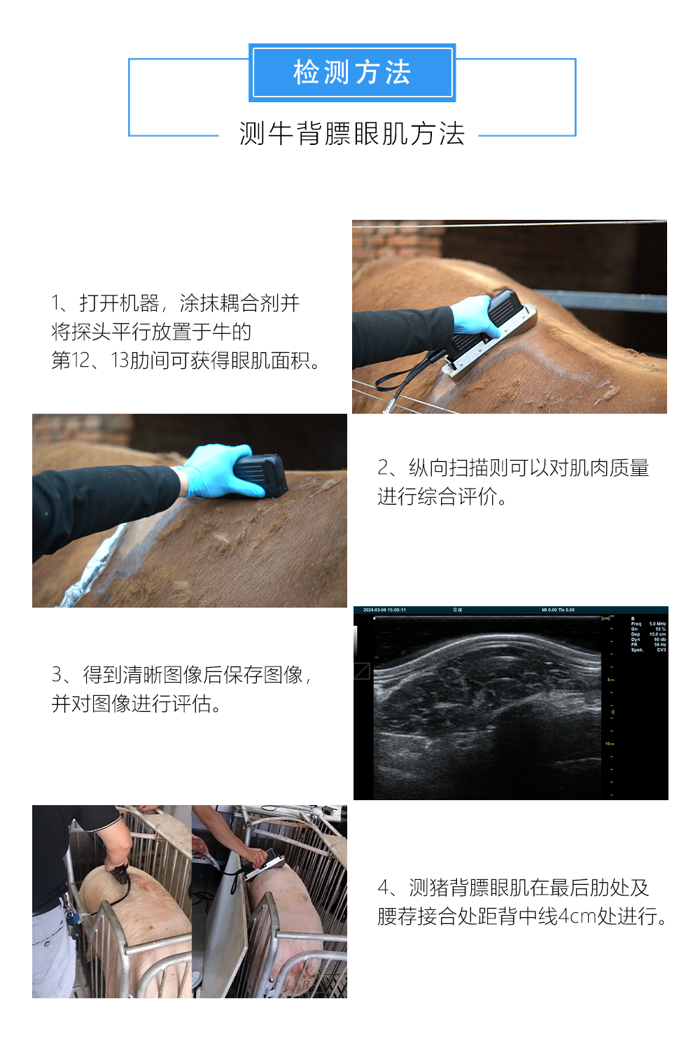 背膘眼肌测定仪操作演示 背膘眼肌测定仪操作演示