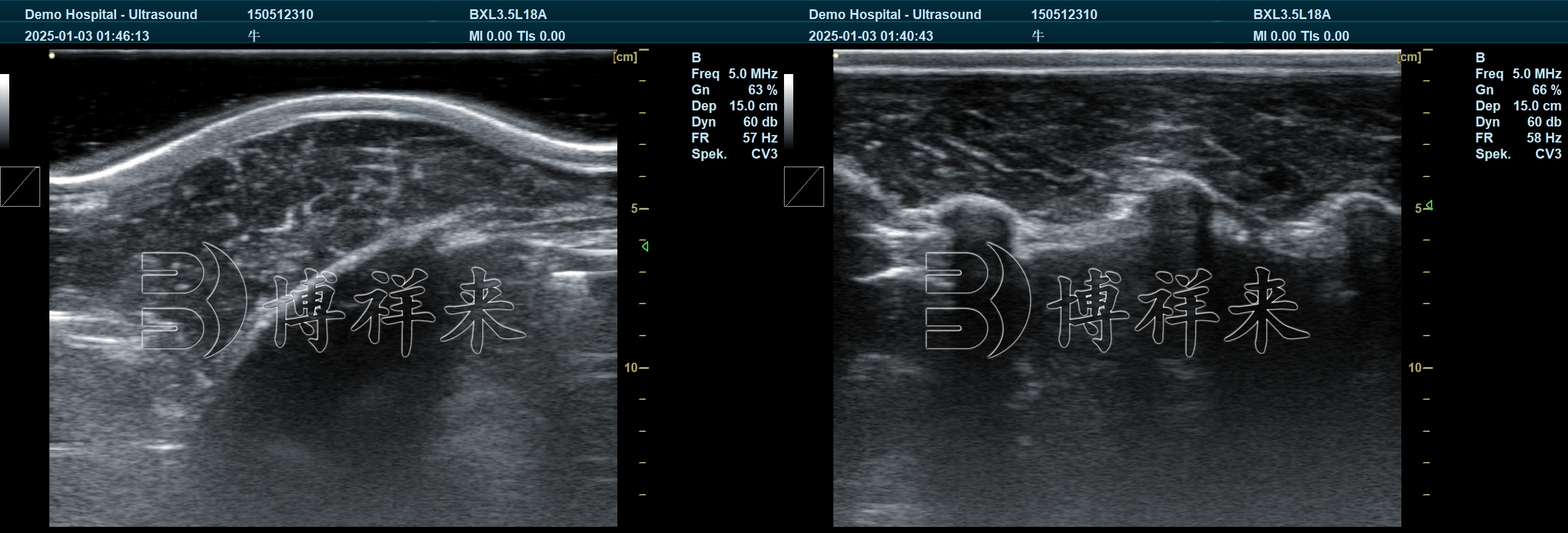 2025.03 DB20 牛背膘眼肌 (9) - 副本.jpg