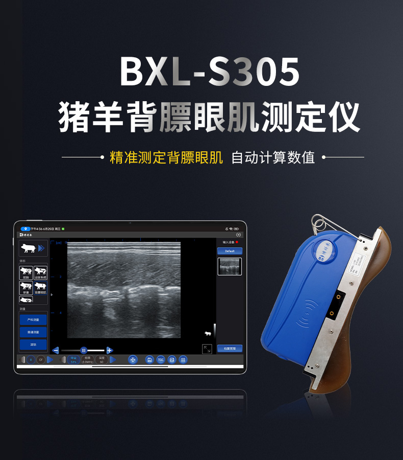 BXL-S305-详情图_01.jpg