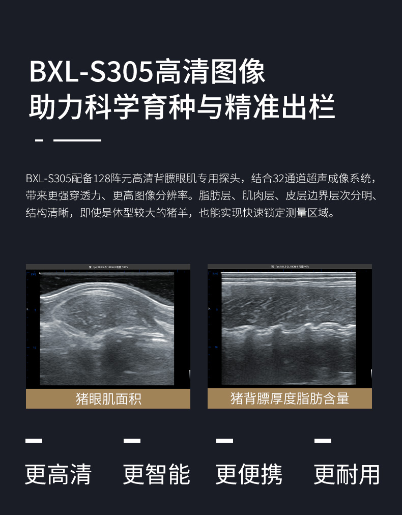 BXL-S305-详情图_04.jpg
