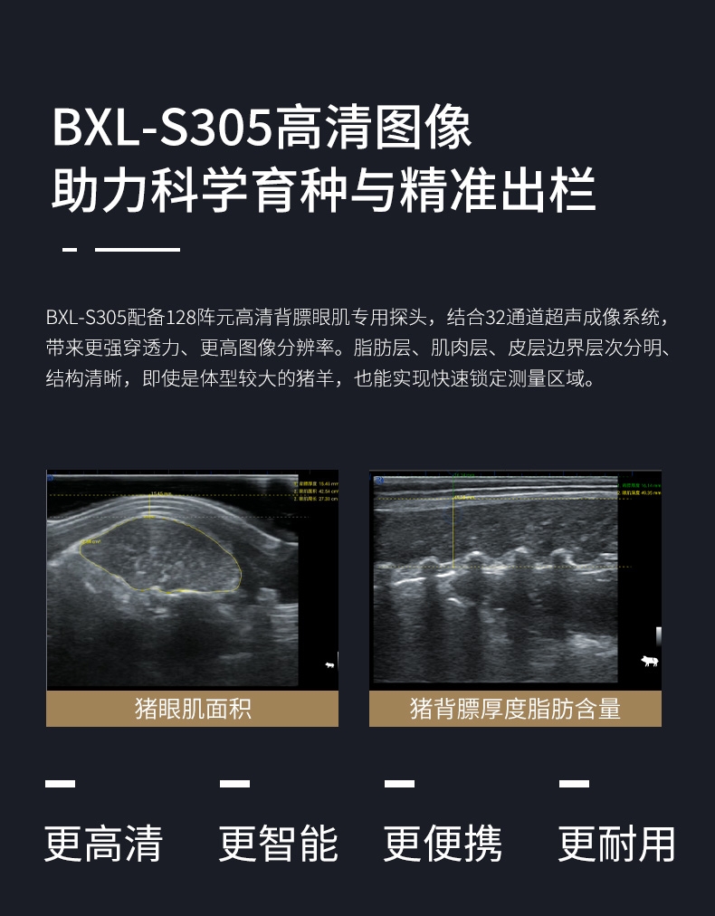 BXL-S305-详情图_04.jpg
