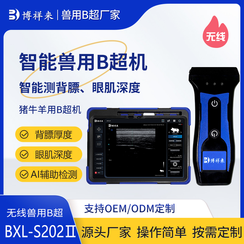无线智能背膘仪