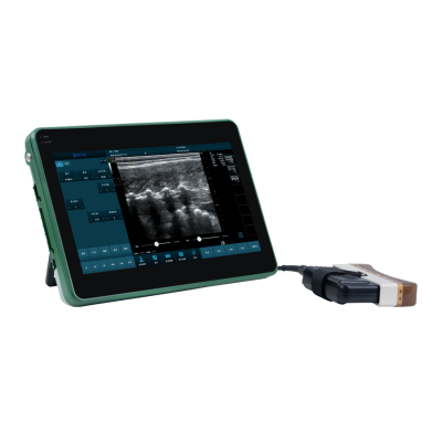 动物背膘眼肌 种猪肌内脂肪测定仪 BXL-DZ20