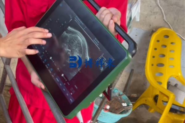 培训广西农垦使用BXL-DZ20测猪背膘眼肌面积