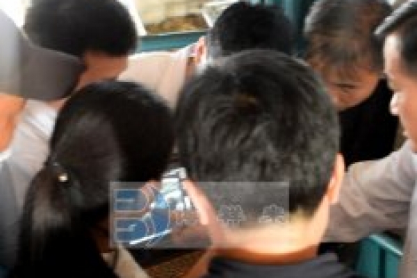 背膘眼肌面积EVO测试现场