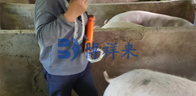 猪用B超机测母猪卵泡发育的好处
