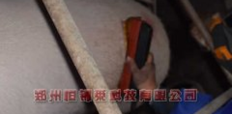 便携式背膘仪检测母猪背膘厚对各阶段繁殖性能的影响