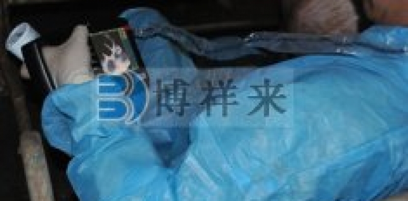 背膘仪对青年母猪的选择