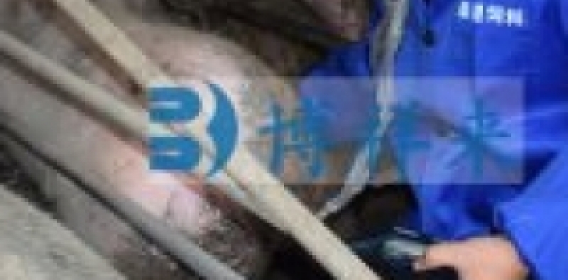 进口背膘仪检测母猪遗传与环境效应